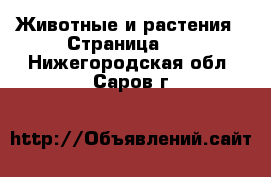  Животные и растения - Страница 13 . Нижегородская обл.,Саров г.